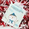 The Creme Shop A Snowman's Story Hyaluronic Acid Sheet Mask Face & Body